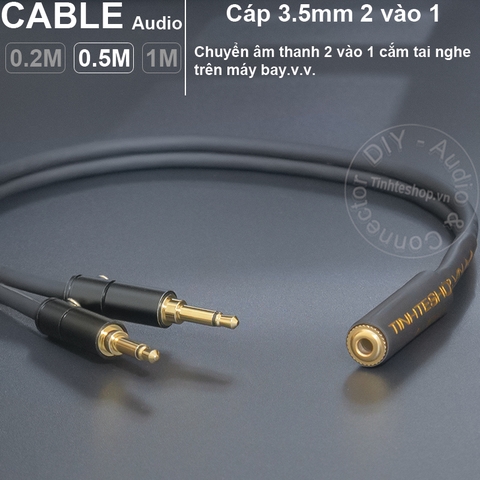 Jack cắm tai nghe 3.5mm trên máy bay gold 24K - In-flight headphone jack