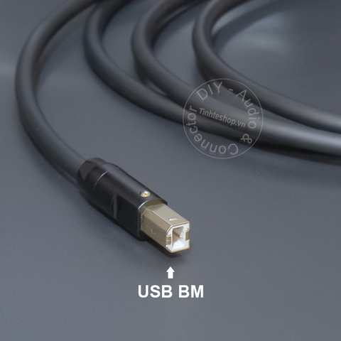 Dây lightning sang USB DAC - Cable transfers audio from Apple iPhone iPad to USB BM of audio decoder