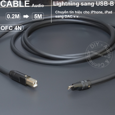 Dây lightning sang USB DAC - Cable transfers audio from Apple iPhone iPad to USB BM of audio decoder