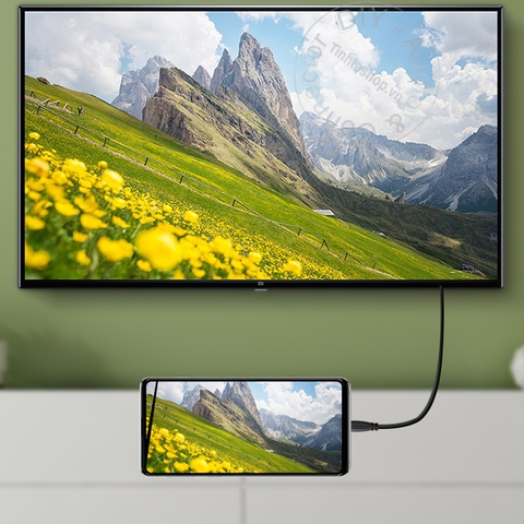 Cáp Micro HD sang HD 0.25 mét đến 5 mét 4K - HDMI to Micro HDMI 4K60Hz cable