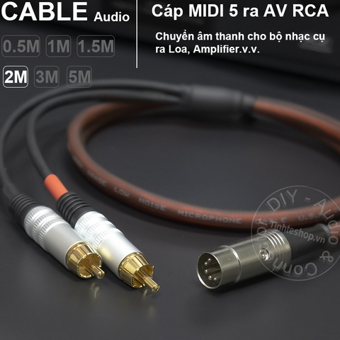Cáp MIDI 5 sang 2 hoa sen DIY 0.5M đến 5M - MIDI DIN 5 pin male to 2 RCA male cable