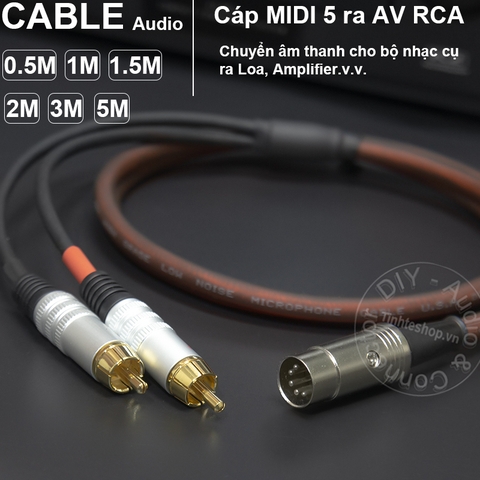 Cáp MIDI 5 sang 2 hoa sen DIY 0.5M đến 5M - MIDI DIN 5 pin male to 2 RCA male cable