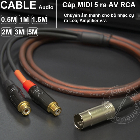 Dây MIDI 5 pin ra 2 hoa sen DIY 0.5M đến 5M - MIDI DIN 5pin male to 2 RCA female cable