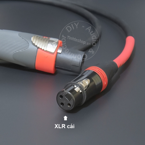 Giắc loa sang canon cái cắm cho Đẩy Vang Mixer 0.2 đến 10 mét - Speakon speaker cable to female XLR