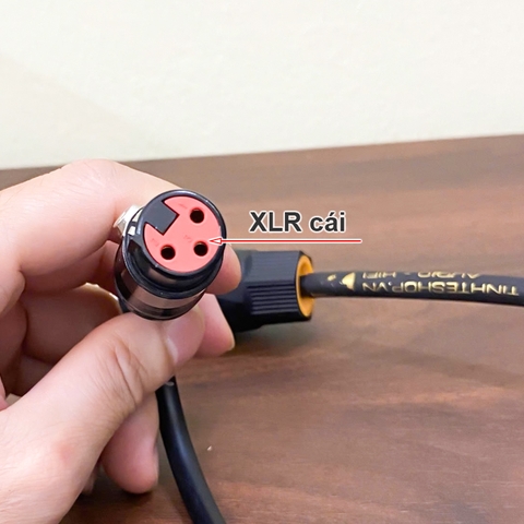 Dây cho Sub BOSE 403 speakon sang XLR