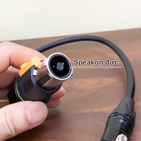 Dây cho Sub BOSE 403 speakon sang XLR