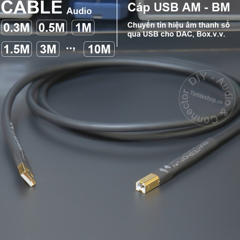 Cáp USB A sang C chơi nhạc từ máy tính sang DAC Souns card - High performance DIY USB OTG AM to CM cable