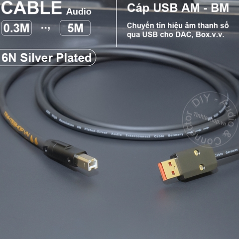 Dây USB A sang C cho DAC lõi đồng 6N mạ bạc - USB 2.0 AM to CM OTG cable