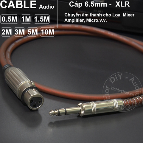 Cáp 6ly stereo ra XLR cái DIY 0.5M đến 5M - XLR female to 6.35mm stereo cable