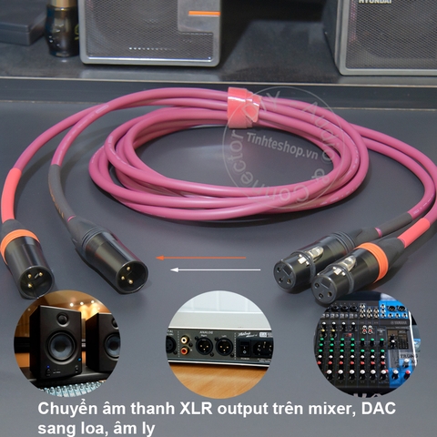 Dây canon đồng mạ bạc 1 cặp cho Mixer Bàn DJ DAC Loa kiểm âm