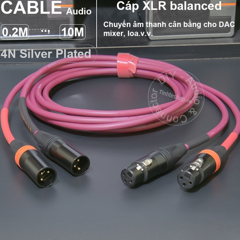 Dây canon đồng mạ bạc 1 cặp cho Mixer Bàn DJ DAC Loa kiểm âm
