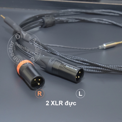 Dây balanced 2.5 sang 2 jack canon chuyển âm thanh từ DAC AMP sang Loa kiểm âm Mixer