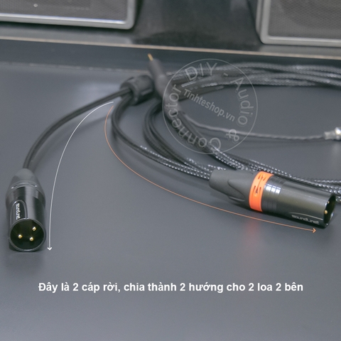 Dây balanced 2.5 sang 2 jack canon chuyển âm thanh từ DAC AMP sang Loa kiểm âm Mixer