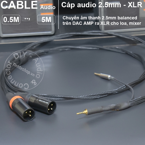 Dây balanced 2.5 sang 2 jack canon chuyển âm thanh từ DAC AMP sang Loa kiểm âm Mixer