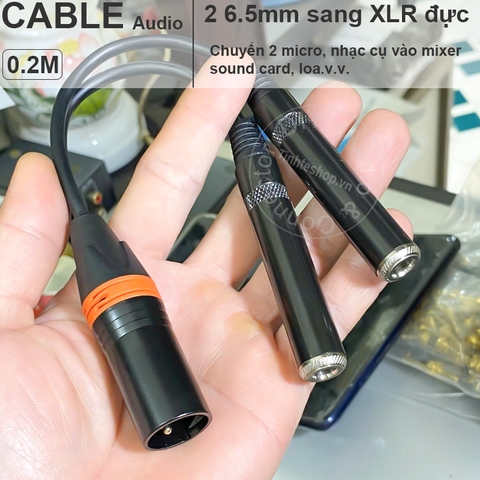 Dây 2 đầu 6 ly cái sang canon đực cắm Nhạc cụ Micro vào mixer - 6.5mm female to XLR male cable