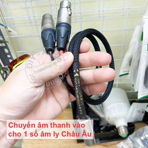 Dây canon sang DIN 5 chân chuyển âm thanh vào cho âm ly Châu Âu B&O