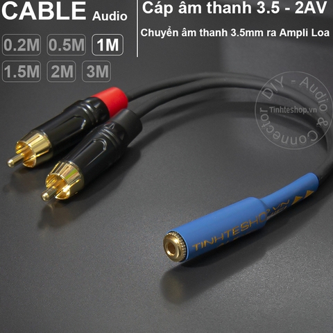 Dây 3.5 cái ra 2 AV đực DIY dài 0.2 mét đến 3 mét Soundking OFC 4N