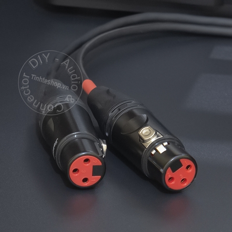 Dây canon sang 3.5mm chuyển âm thanh từ Vang số Mixer DAC sang loa - 2 XLR female to 1/8 cable
