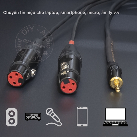 Dây canon sang 3.5mm chuyển âm thanh từ Vang số Mixer DAC sang loa - 2 XLR female to 1/8 cable
