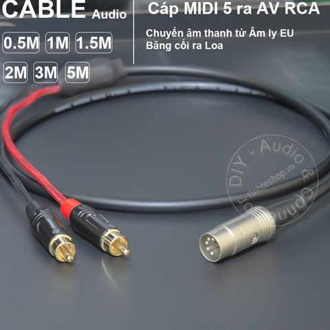 Cáp 5 pin sang AV chuyển âm thanh từ Âm ly cổ Băng cối sang loa - 5pin to 2 RCA MIDI audio cable