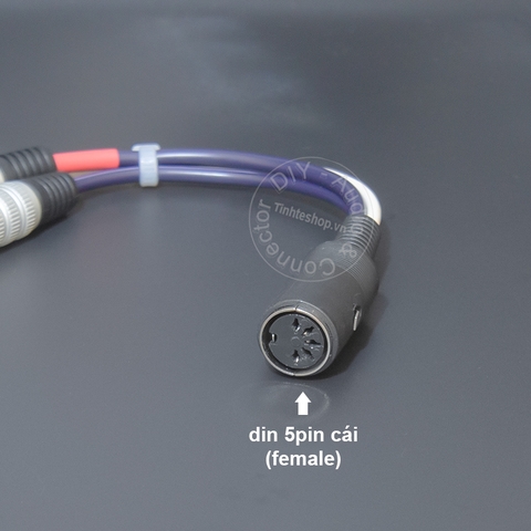 Dây Din 5pin ra AV phono cho đĩa than và Pre AMP - 5pin female to 2 RCA male audio cable for vinyl records