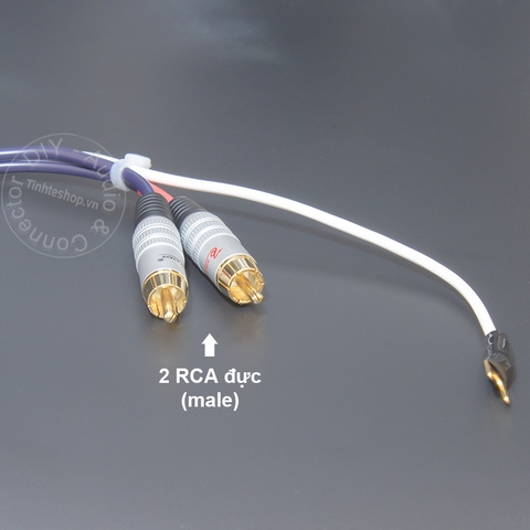 Dây Din 5pin ra AV phono cho đĩa than và Pre AMP - 5pin female to 2 RCA male audio cable for vinyl records