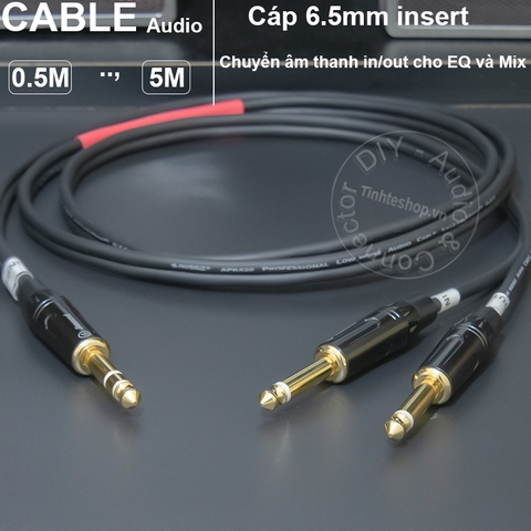 Dây insert in out 6.5mm cắm Nâng tiếng lọc xì với Mixer - Audio cable in and out inserts music for the equalizer