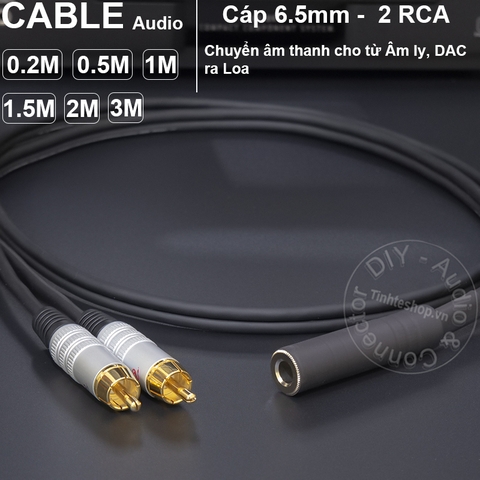 Dây 6 ly ra 2 AV DIY 0.2 đến 3 mét - 6.5mm mono female to 2 RCA cable