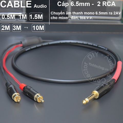 Dây 6 ly mono ra hoa sen chuyển âm thanh từ Đàn Mixer sang Loa Âm ly - DIY 1/4 TS to 2 RCA audio cable