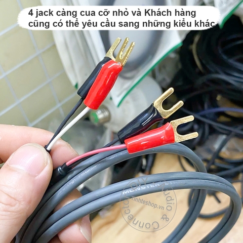 Dây hoa sen sang càng cua chuyển âm thanh từ Âm ly sang Sub - RCA speaker cable male to Y plugs