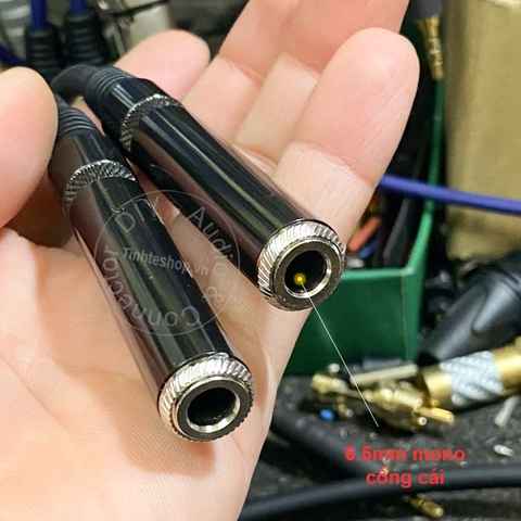 Dây jack AV đực sang 6 ly cái 15Cm - RCA male to 6.5mm female adapter