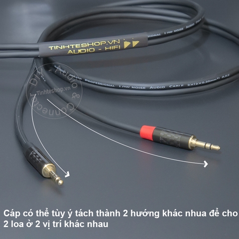 Dây AV sang 3.5 chuyển âm thanh DAC Âm ly sang 2 loa xách tay thành R-L - RCA to 1/8 audio cable for 2 left and right speakers
