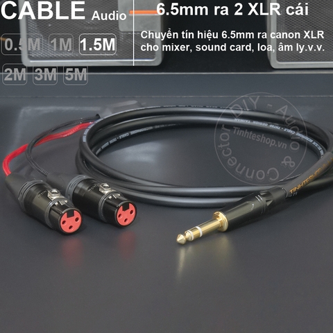 Dây jack 6 ly stereo ra 2 XLR cái DIY 0.5 đến 5 mét - 6.5mm TRS audio cable to 2 female canons