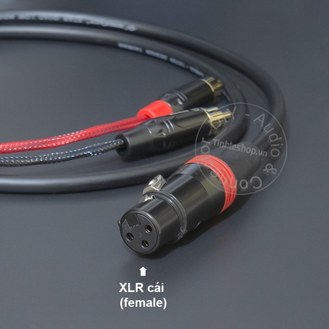 Cáp canon ra 2 hoa sen chuyển âm từ Vang Mixer sang loa DIY XLR to 2 RCA audio cable