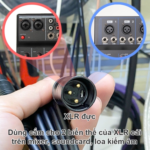 Dây cho micro jack canon cho Phòng thu Loa kiểm âm Soundcard DAC Cáp Canare jack Neutrik