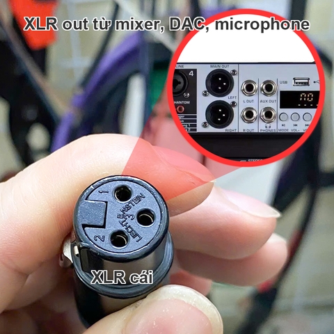 Dây cho micro jack canon cho Phòng thu Loa kiểm âm Soundcard DAC Cáp Canare jack Neutrik