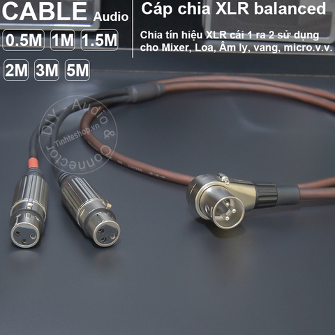 Cáp XLR đực sang 2 cái cắm cho Mixer Vang Micro - DIY male to 2 female XLR splitter cable