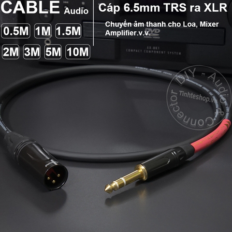 Cáp chuyển canon sang 6 ly stereo DIY 0.5 đến 10 mét - TRS 1/4 to XLR male audio cable