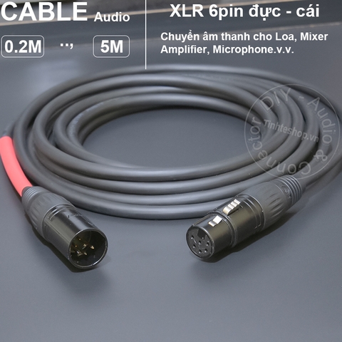 Dây canon XLR 6 pin đực cái dùng cho micro Manley Labs Reference Mono Gold và Reference Cardioid trước năm 2020