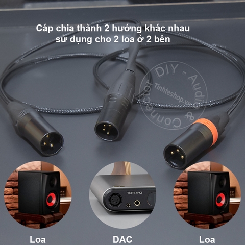 Dây canon 4pin sang 2 canon 3pin chuyển âm thanh balanced từ DAC sang loa kiểm âm - XLR 3p  male to 2 XLR male cable