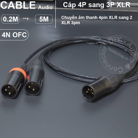 Dây canon 4pin sang 2 canon 3pin chuyển âm thanh balanced từ DAC sang loa kiểm âm - XLR 3p  male to 2 XLR male cable