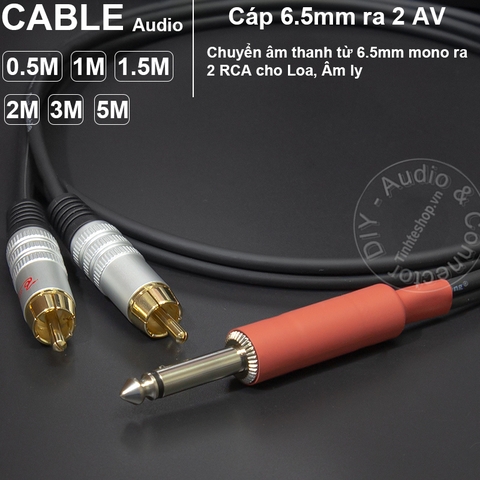 Dây 6 ly ra 2 AV dài 0.5 mét đến 5 mét - 6.5mm mono to 2 RCA cable