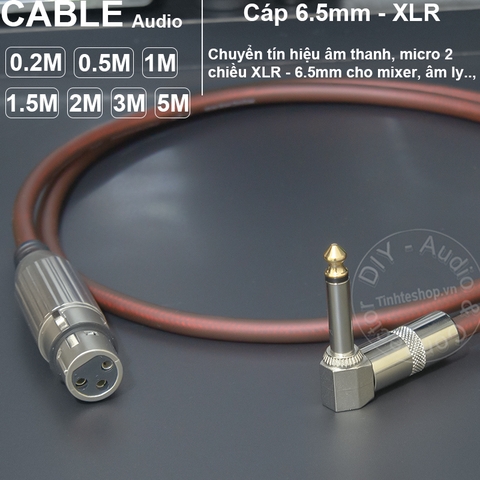 Dây mic 6ly sang canon cái DIY 0.2 đến 5 mét - 6.35mm mono to XLR female audio cable