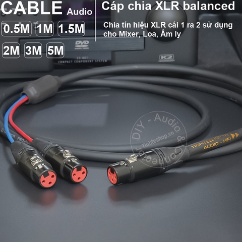 Jack chia XLR cái sang 2 cổng cái cắm cho Mixer Micro Vang - Do-it-yourself XLR female to 2-port female splitter cable