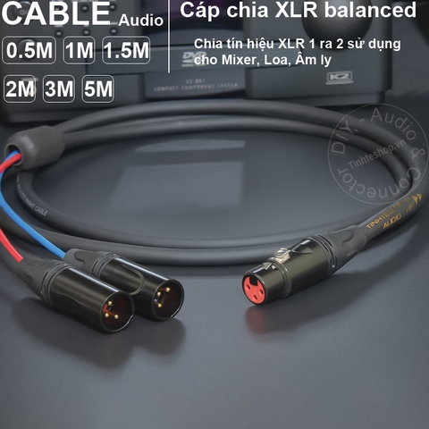 Dây jack canon cái sang 2 đực cắm cho Mixer Loa Micro - 1 female to 2 male XLR splitter cable