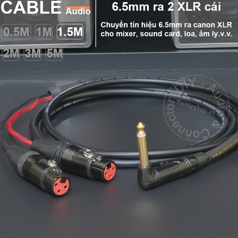 Dây chuyển 6.5 sang 2 XLR cái DIY 0.5 đến 5 mét - 1/4 TS to 2 female canon audio cable