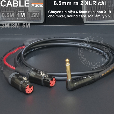 Dây chuyển 6.5 sang 2 XLR cái DIY 0.5 đến 5 mét - 1/4 TS to 2 female canon audio cable