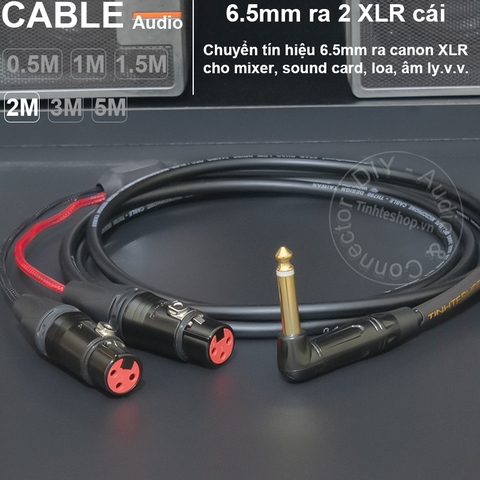 Dây chuyển 6.5 sang 2 XLR cái DIY 0.5 đến 5 mét - 1/4 TS to 2 female canon audio cable