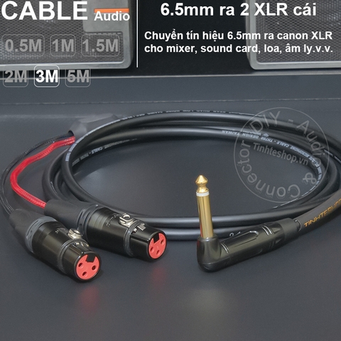 Dây chuyển 6.5 sang 2 XLR cái DIY 0.5 đến 5 mét - 1/4 TS to 2 female canon audio cable