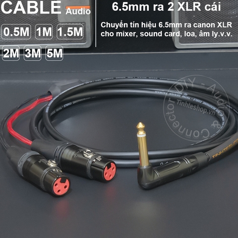 Dây chuyển 6.5 sang 2 XLR cái DIY 0.5 đến 5 mét - 1/4 TS to 2 female canon audio cable